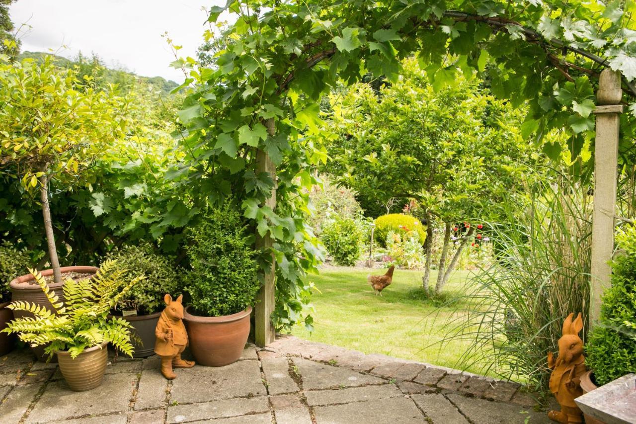 Milebrook House Bed & Breakfast Knighton  Luaran gambar