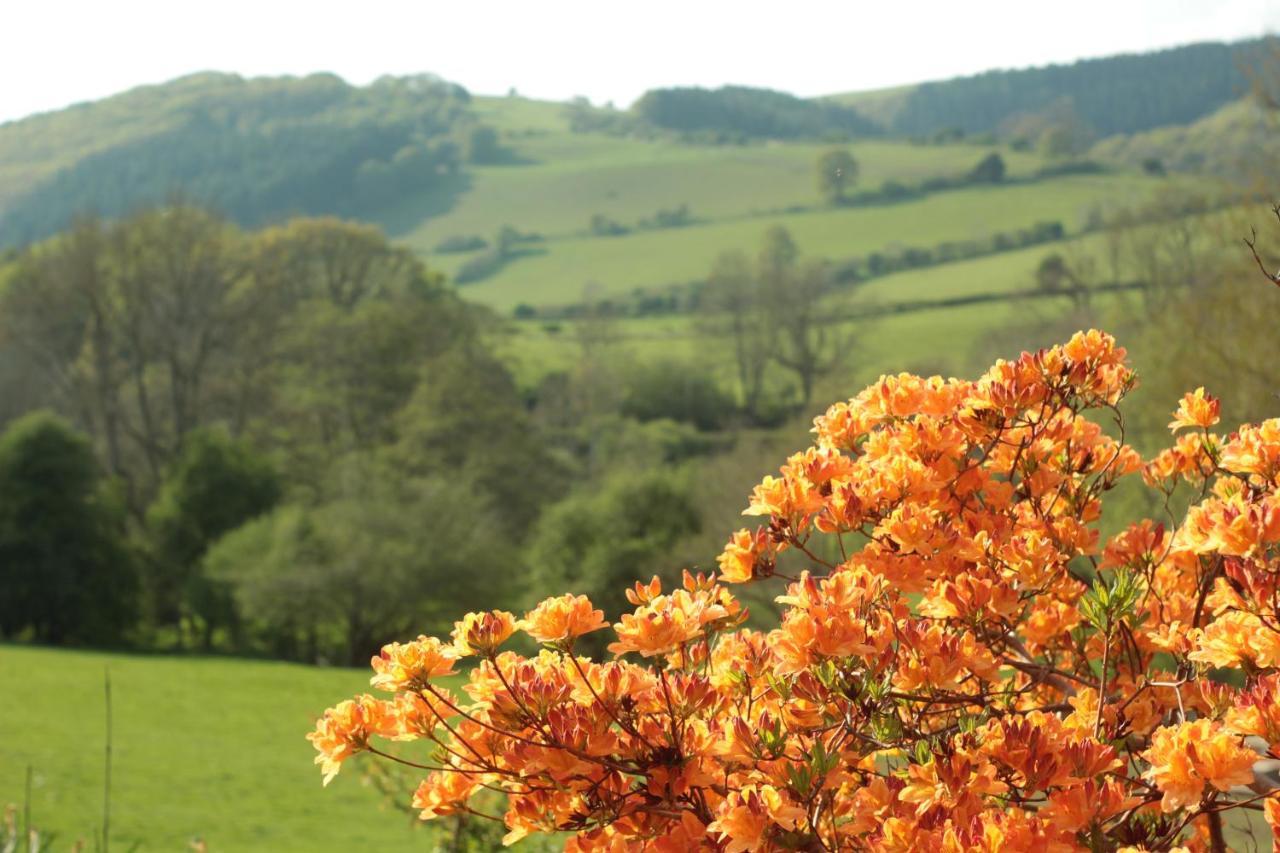 Milebrook House Bed & Breakfast Knighton  Luaran gambar