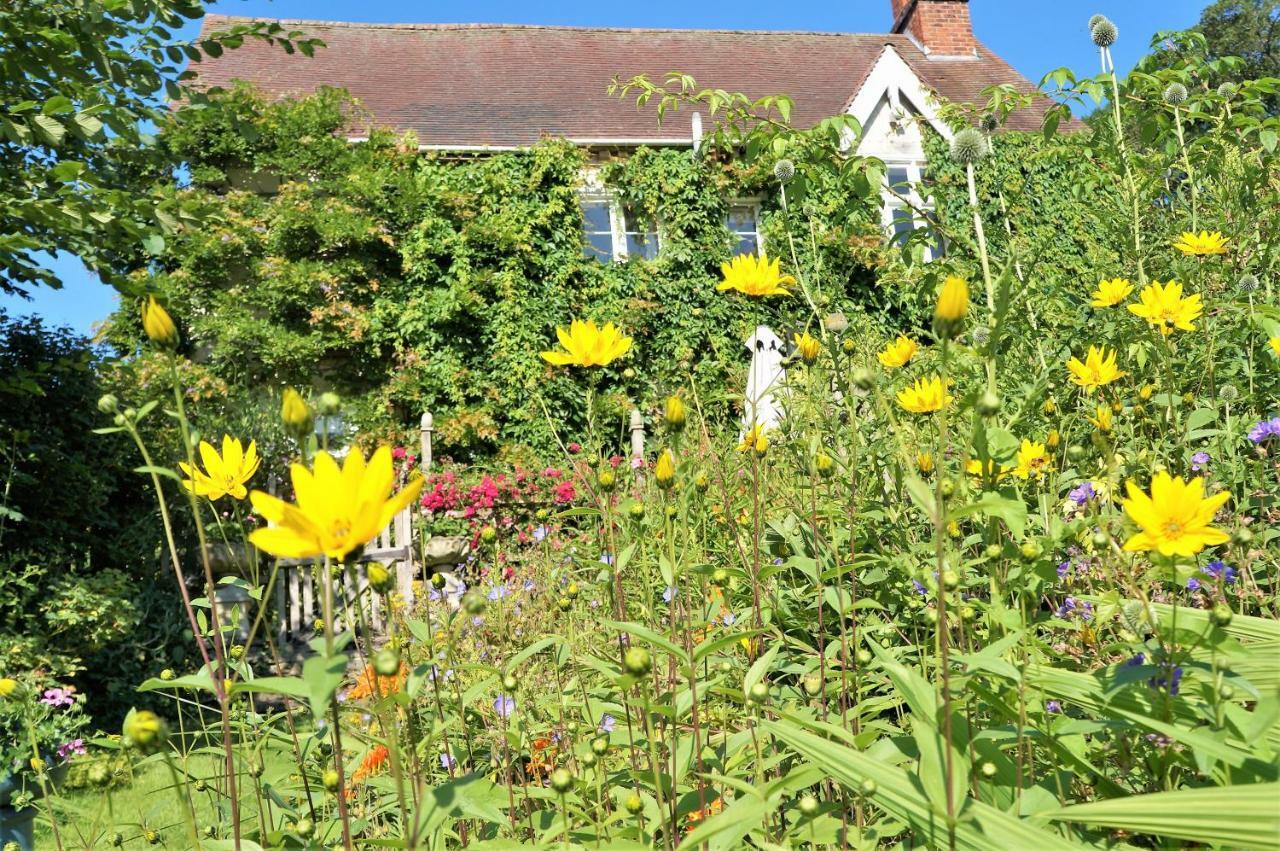 Milebrook House Bed & Breakfast Knighton  Luaran gambar